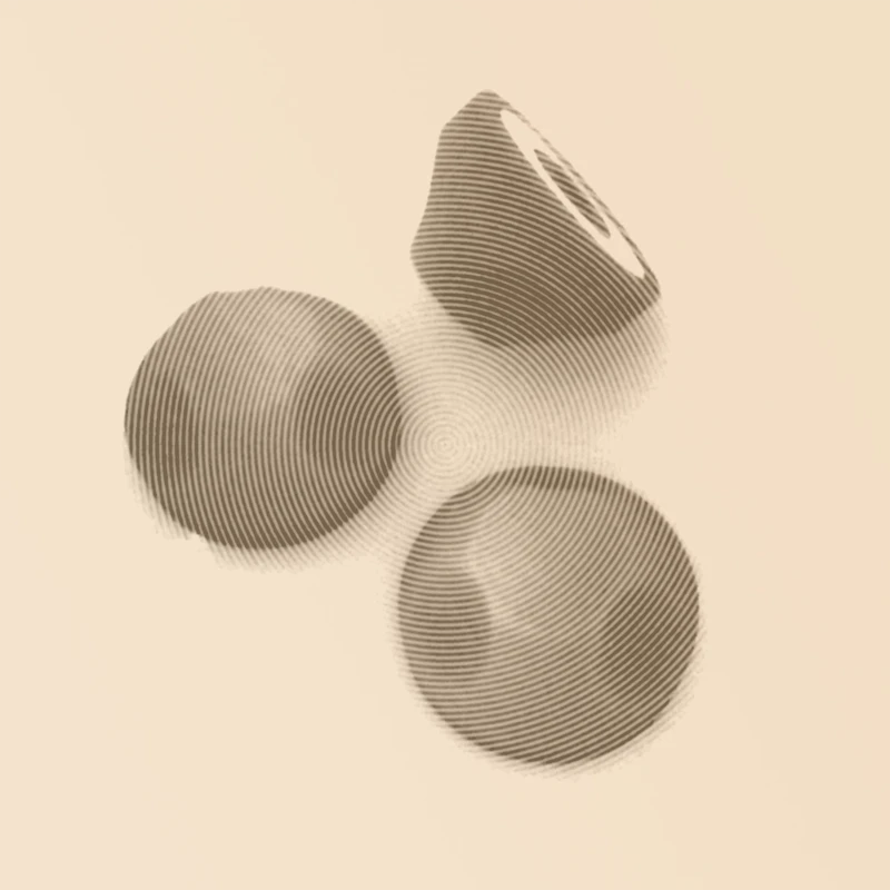 three plastic 45 rpm adapters